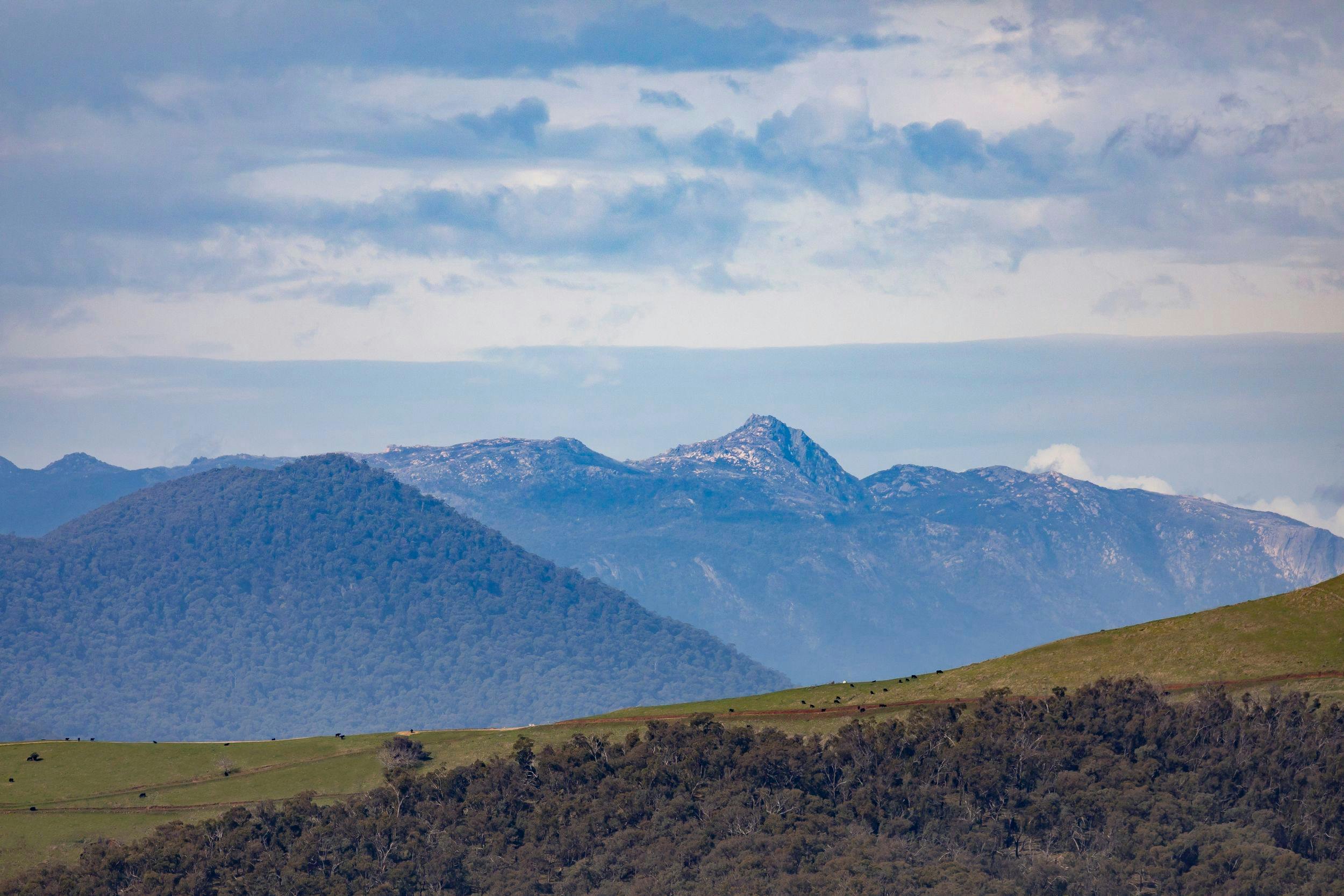 Mt Bellevue - King Valley Accommodation