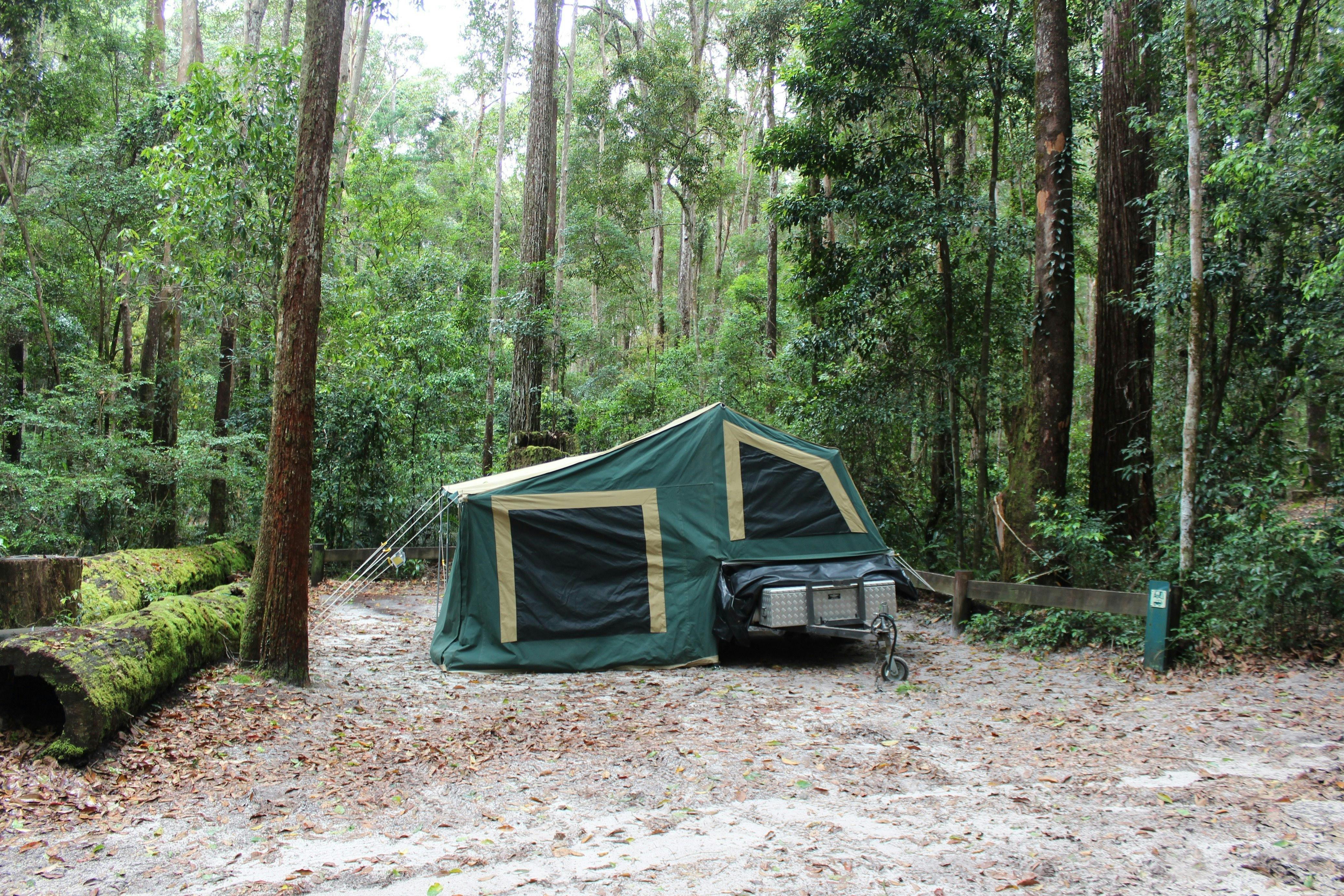 K'gari (Fraser Island) Camping, Great Sandy National Park | Visit ...