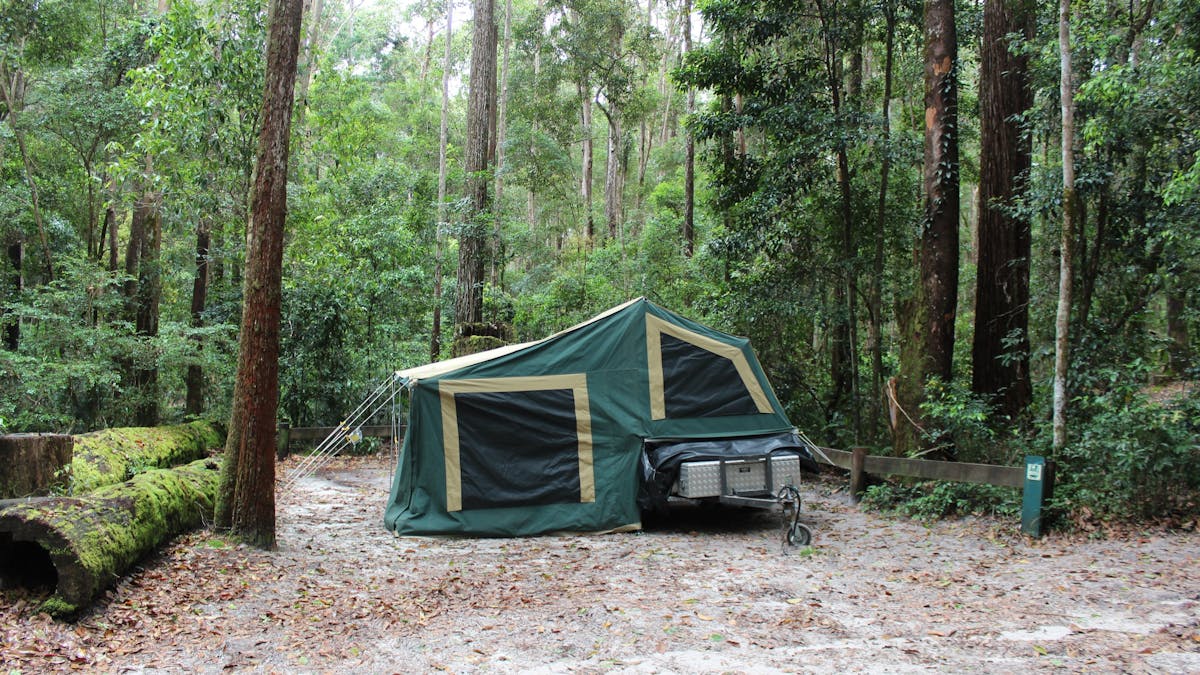 Camp site with camper trailer surrounded by tall forest