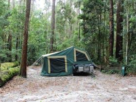 Camp site surrounded by tall forest on Fraser Island