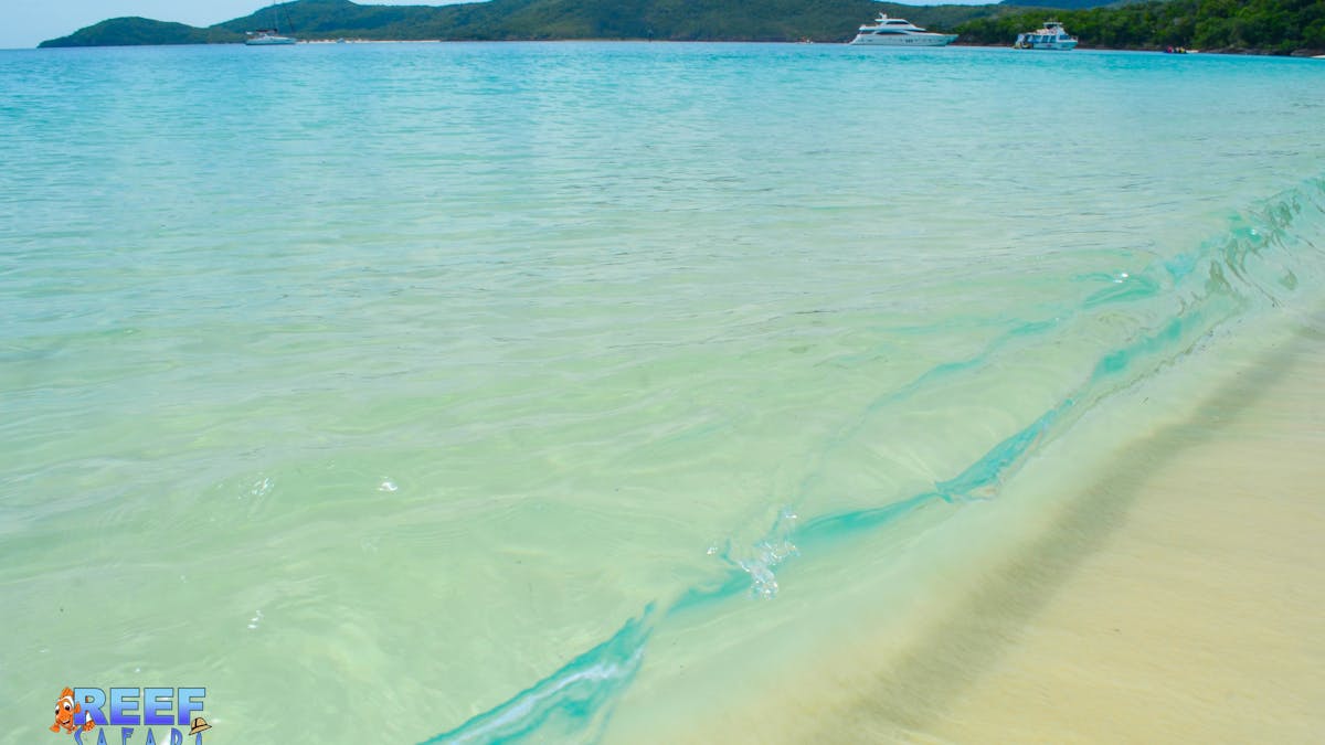 Cairns Beach