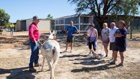 Blackall Tourism