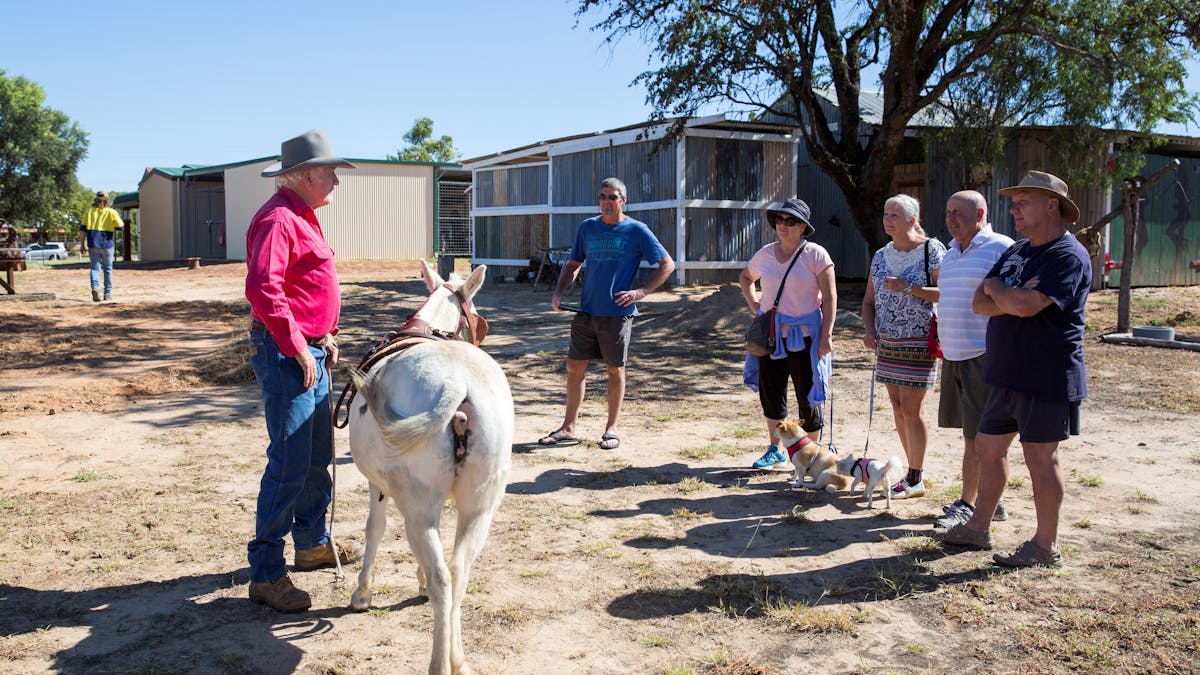 Blackall Tourism