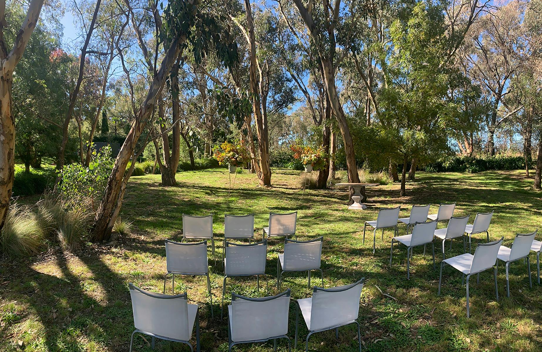 Ceremony  area set under a canopy of gorgeous gumtrees