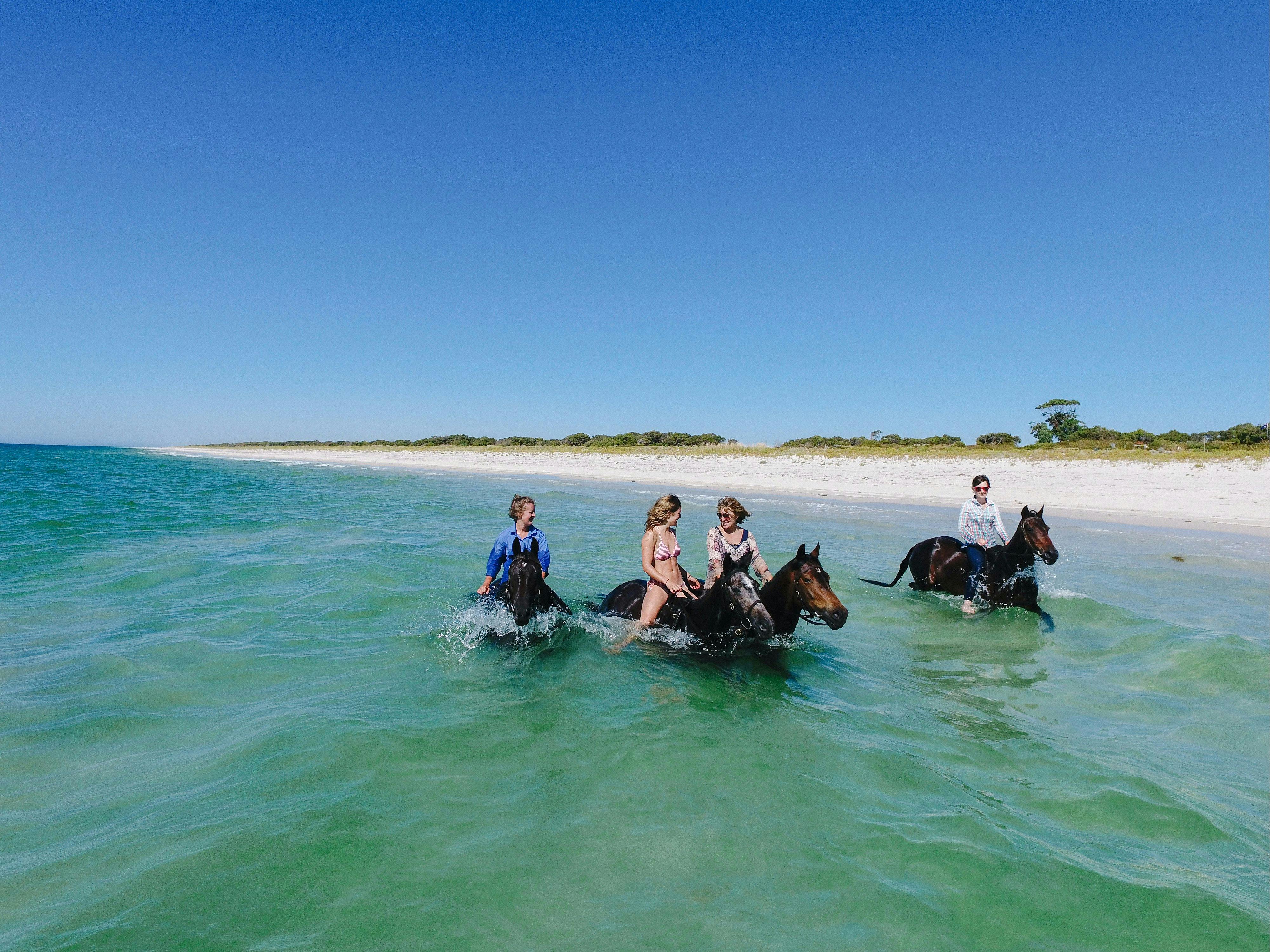 Jesters Flat, Rosa Brook, Western Australia