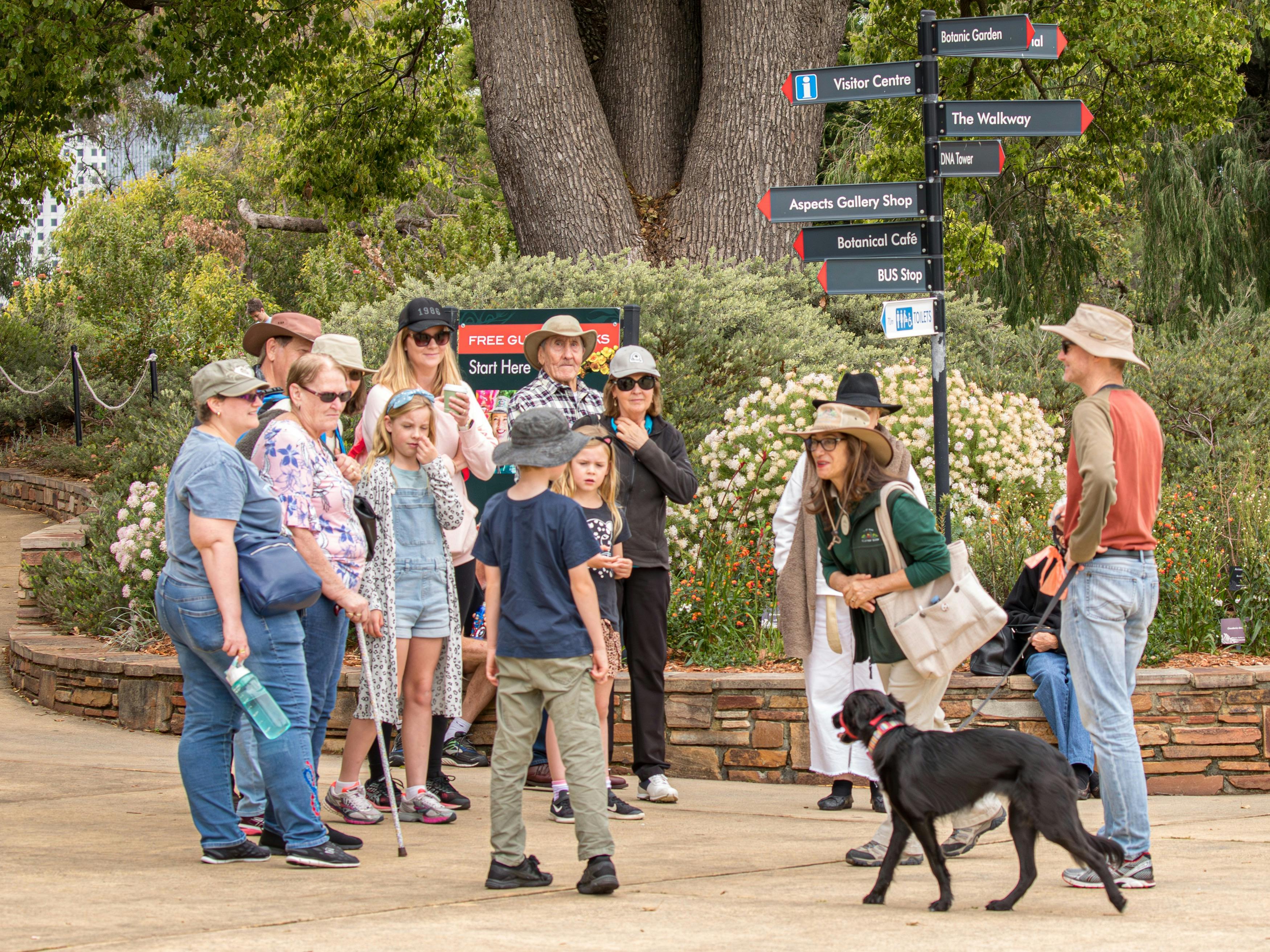 Children and dogs on leads are welcome to join free walks in Kings Park