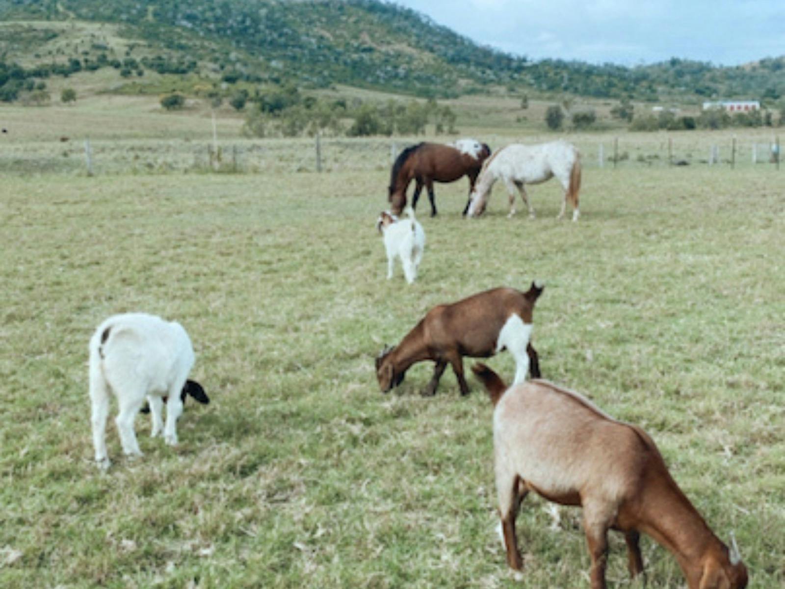 Brisbane Valley Retreat home of Equine Embrace