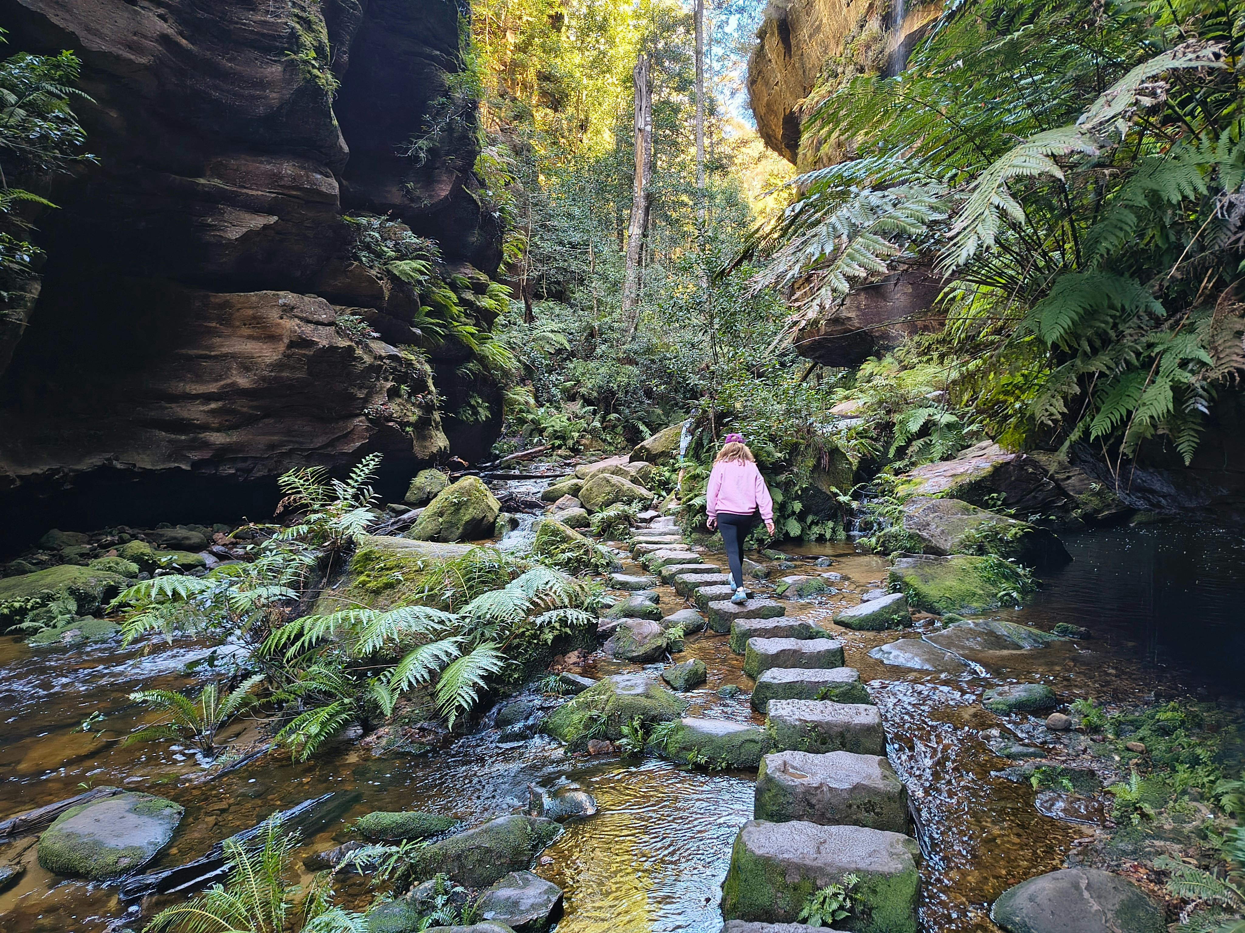 creek crossing in the Grand Canyon in the Blue Mountains west of Sydney