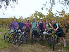 hills vines and wine tour