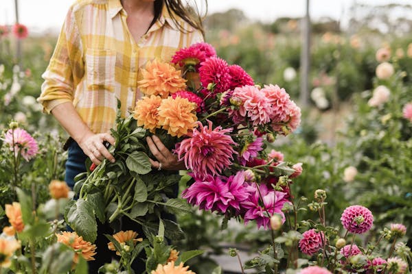 The Flower Farm