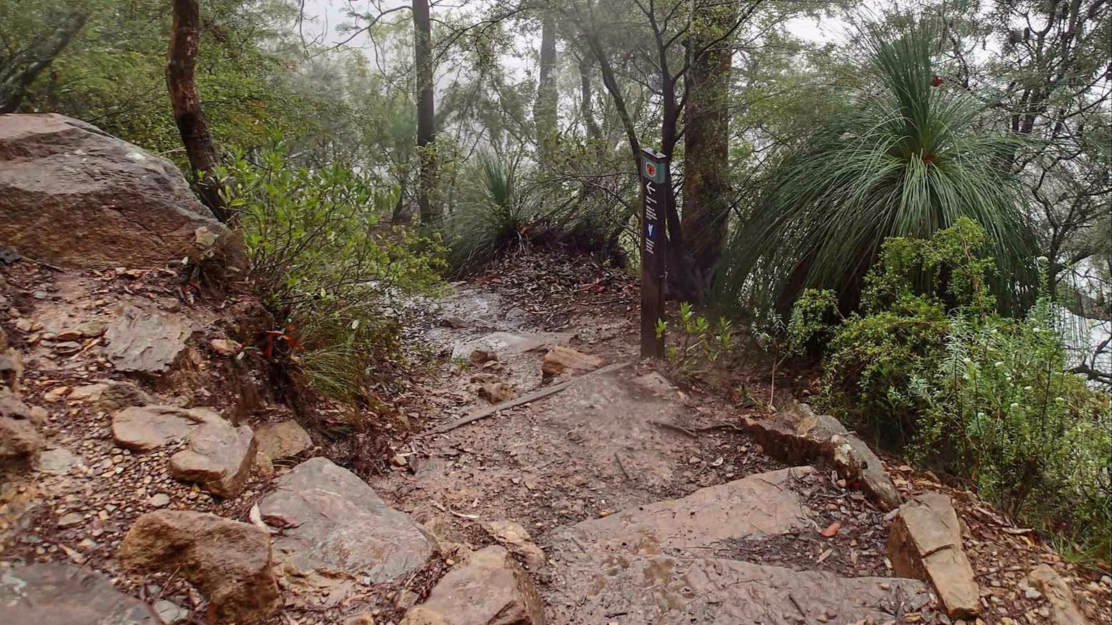 Wentworth Pass Loop Walking Track