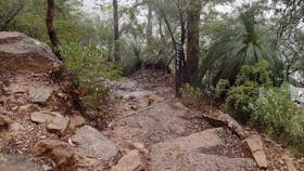 Wentworth Pass Loop Walking Track
