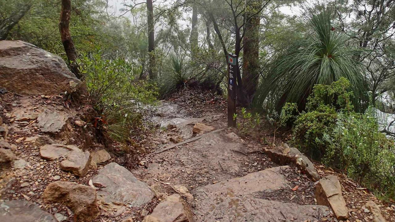 Wentworth Pass Loop Walking Track