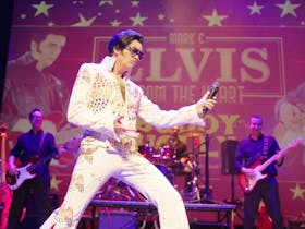 Elvis and Buddy Rock And Roll Sensation Cover Image