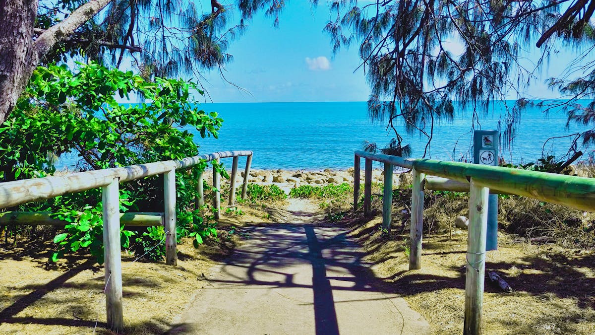 Beach access path, blue ocean and casuarina trees