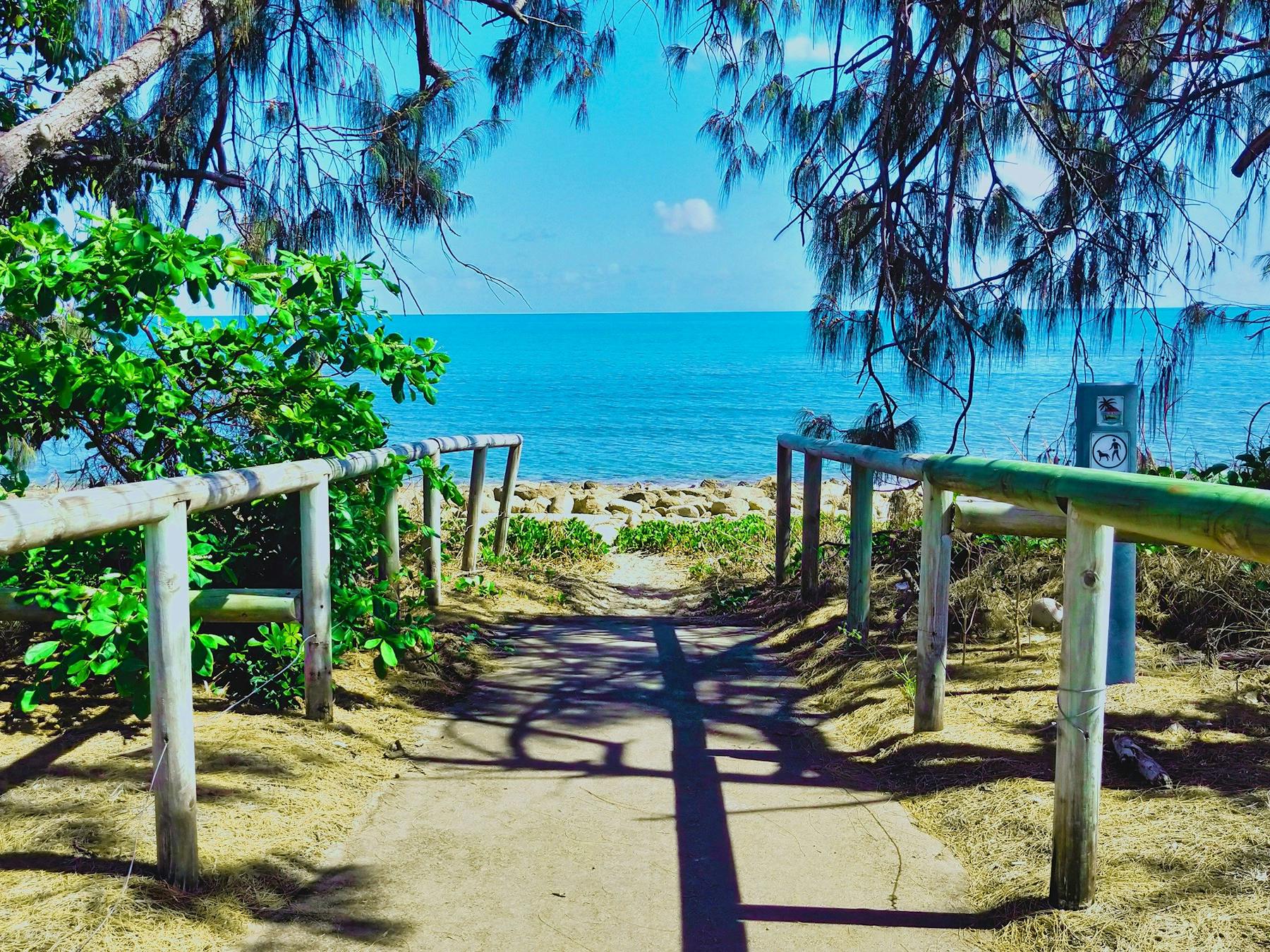 Beach access path, blue ocean and casuarina trees