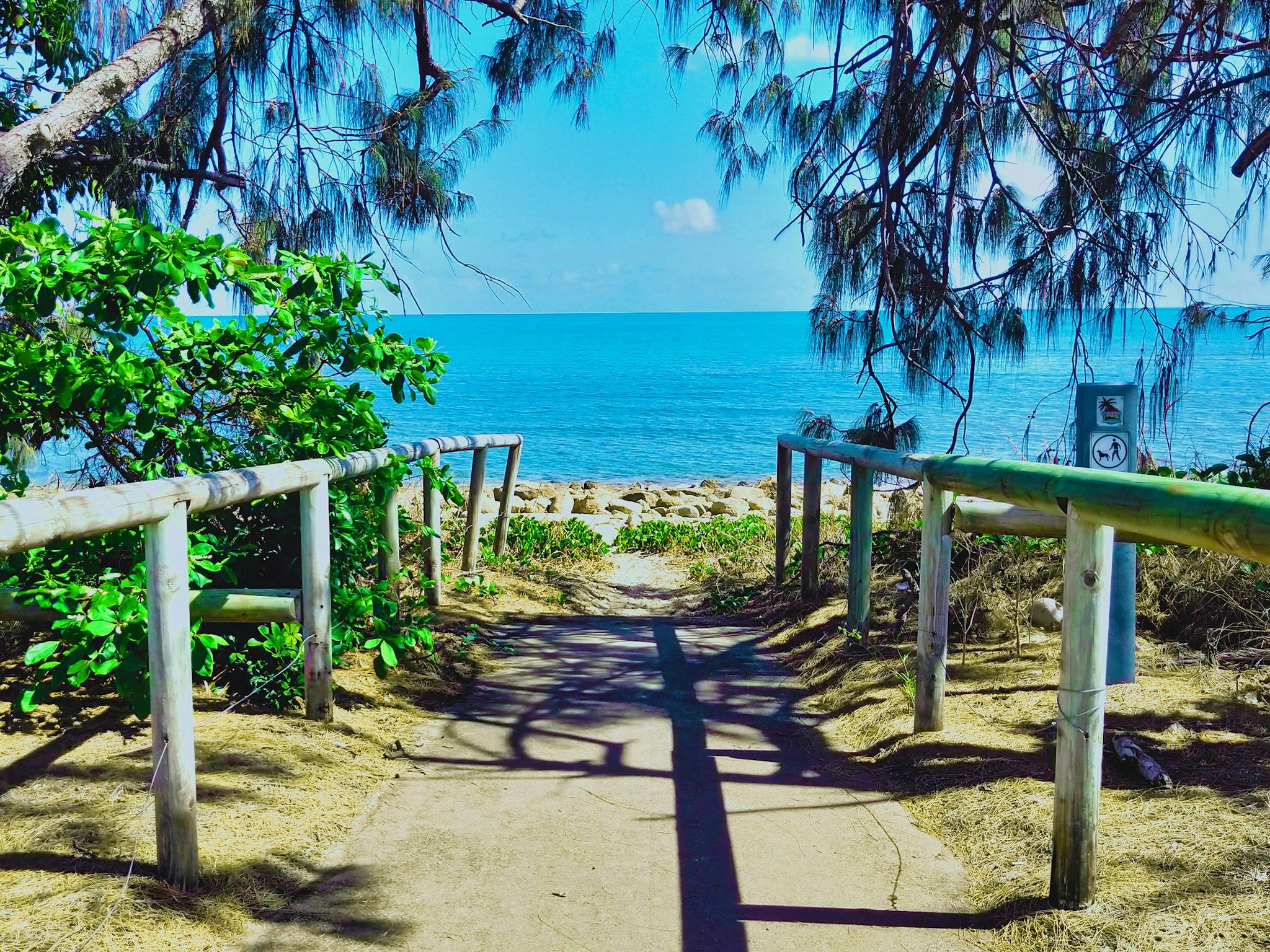 Beach access path, blue ocean and casuarina trees Beach access path, blue ocean and casuarina trees
