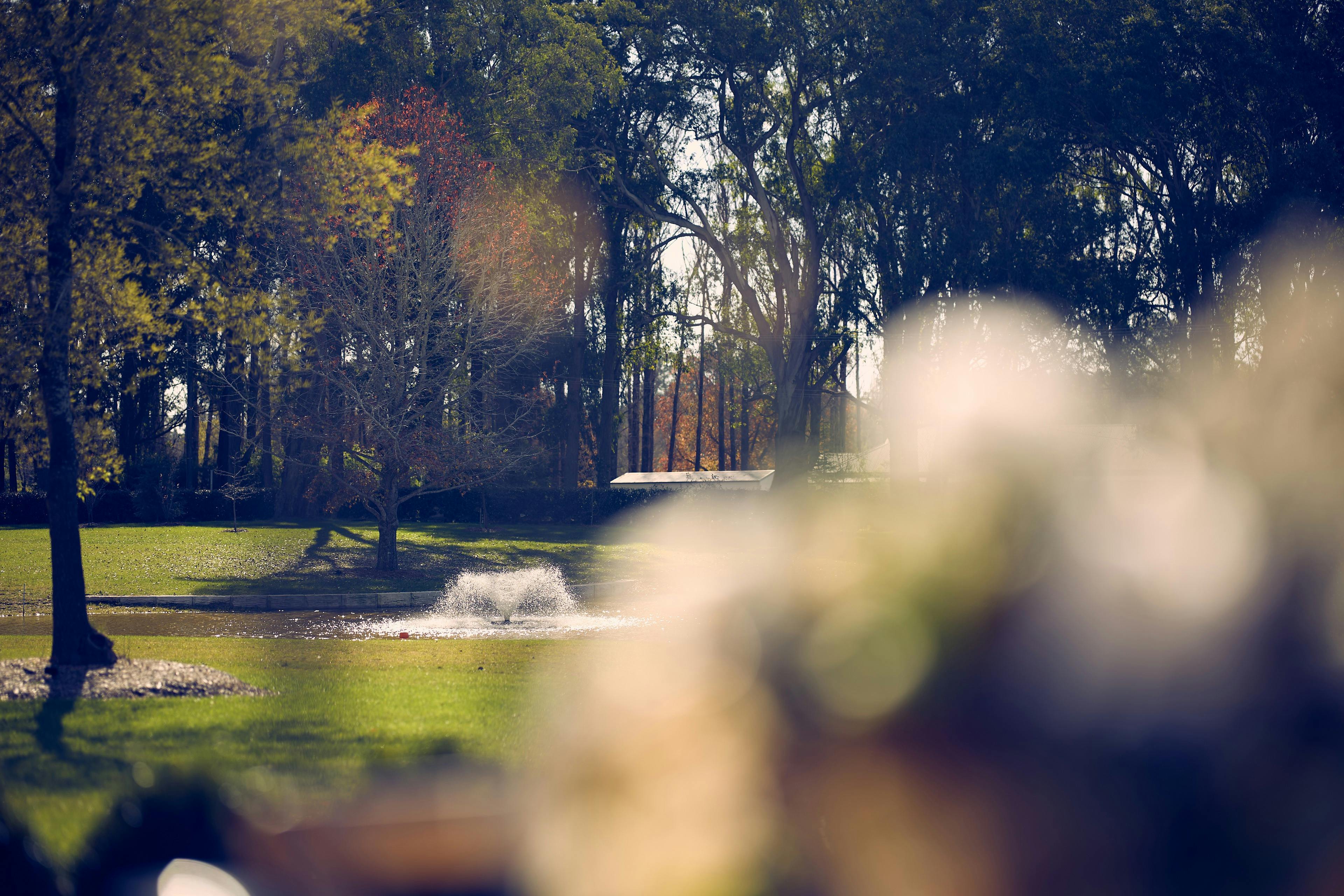 Looking towards the lake.