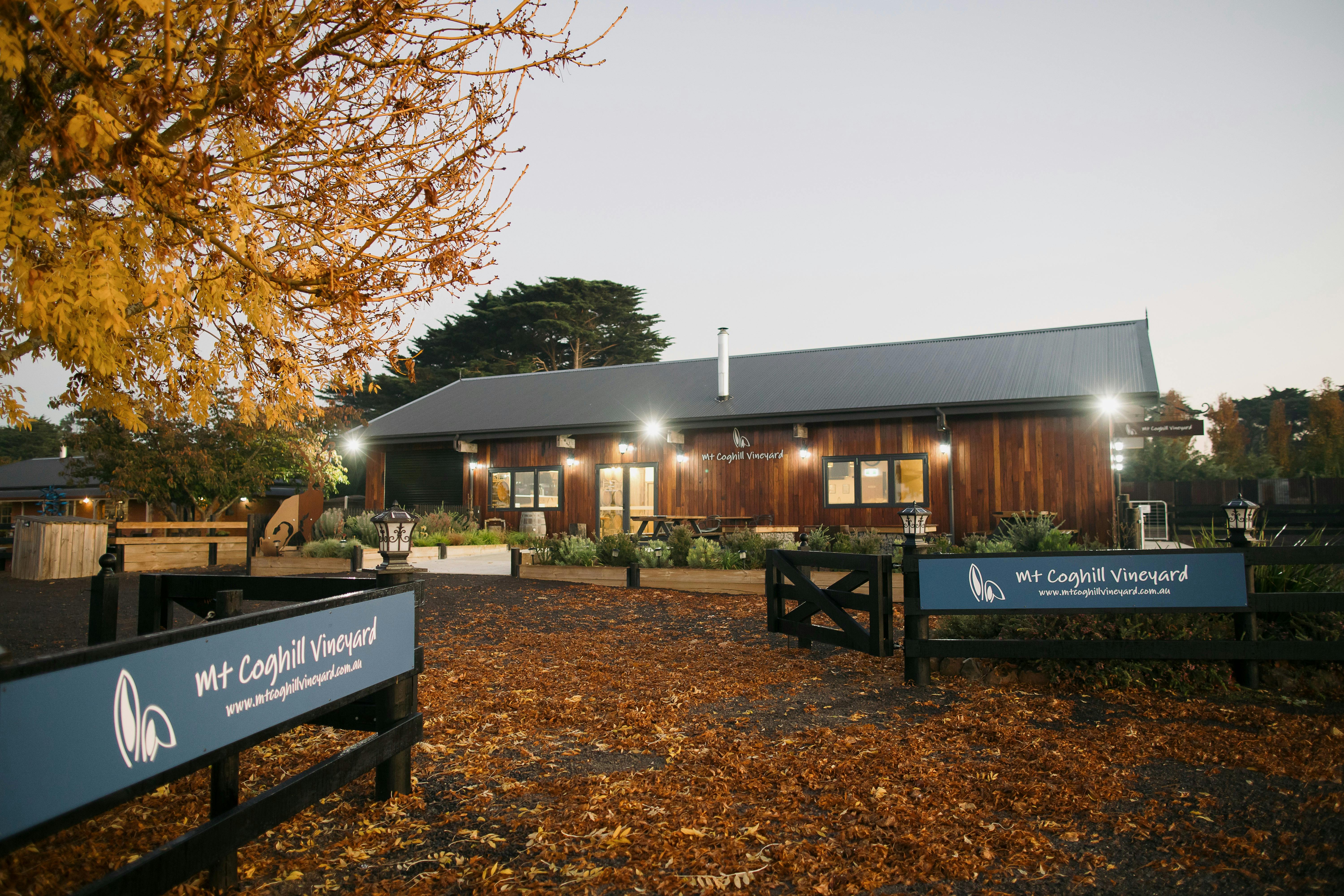 Mt Coghill Vineyard