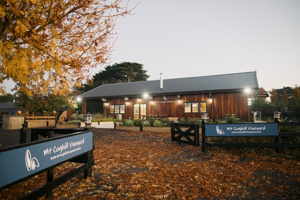 Mt Coghill Vineyard