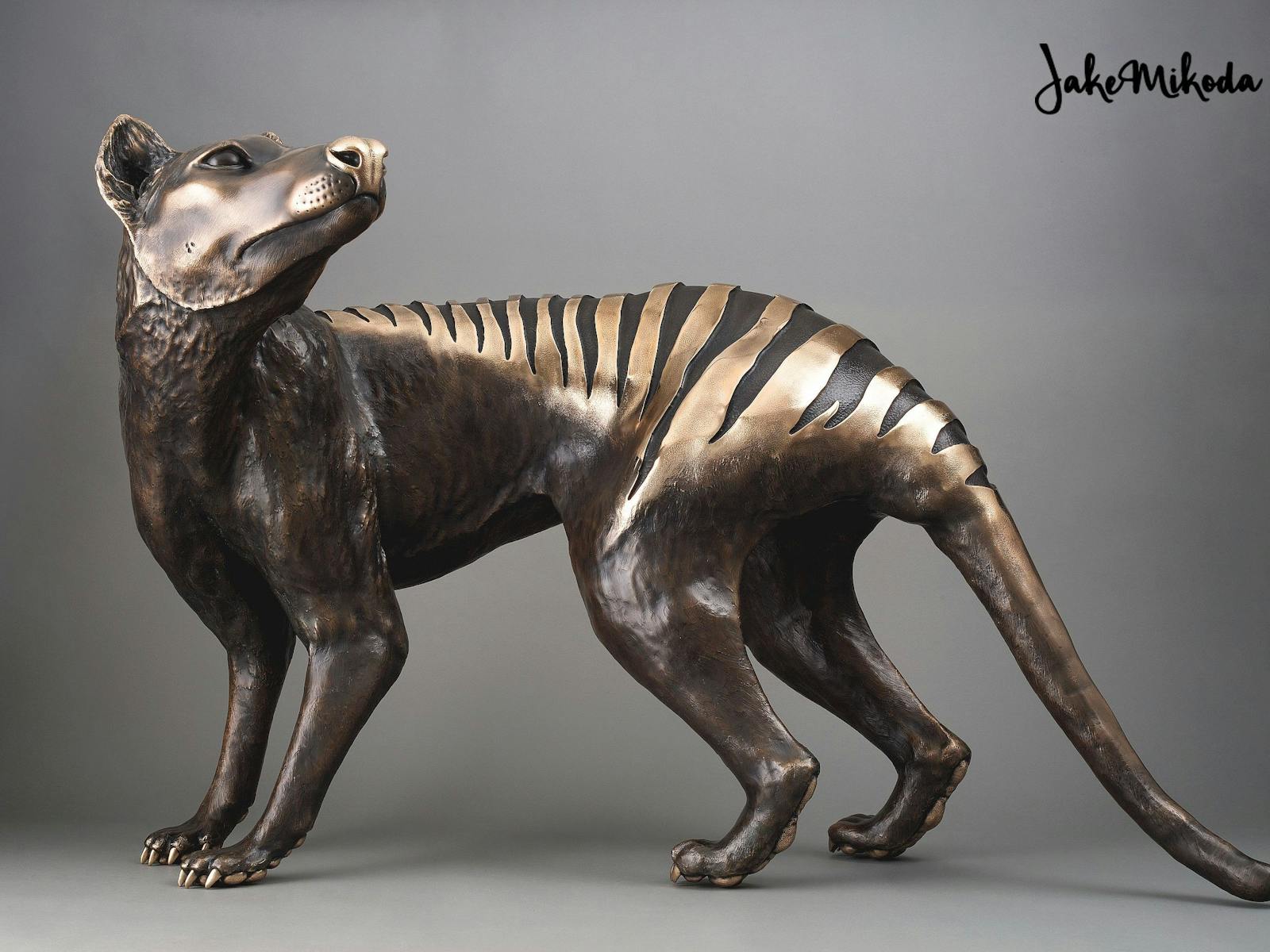 Bronze Thylacine