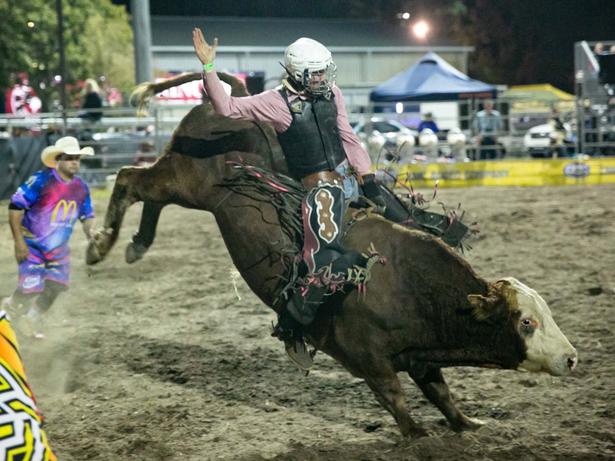 Bullarama