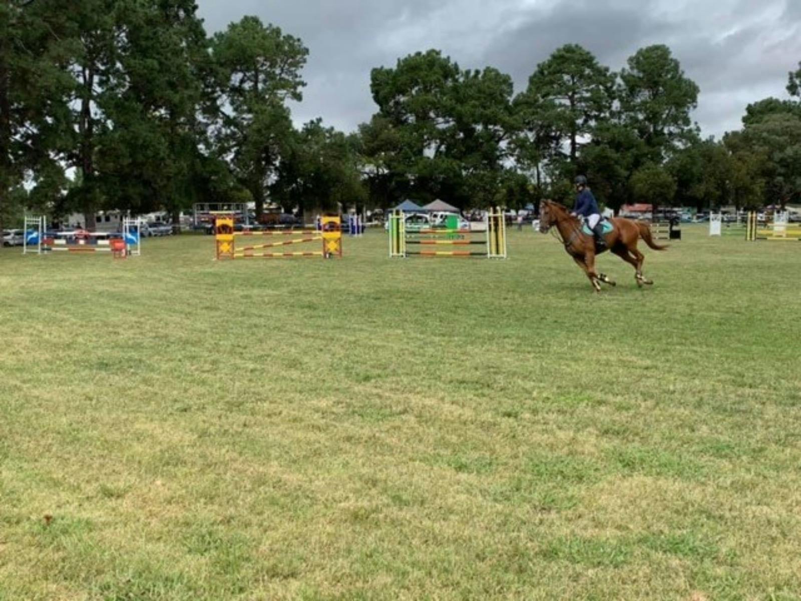 Image for Yass Showground Accommodation