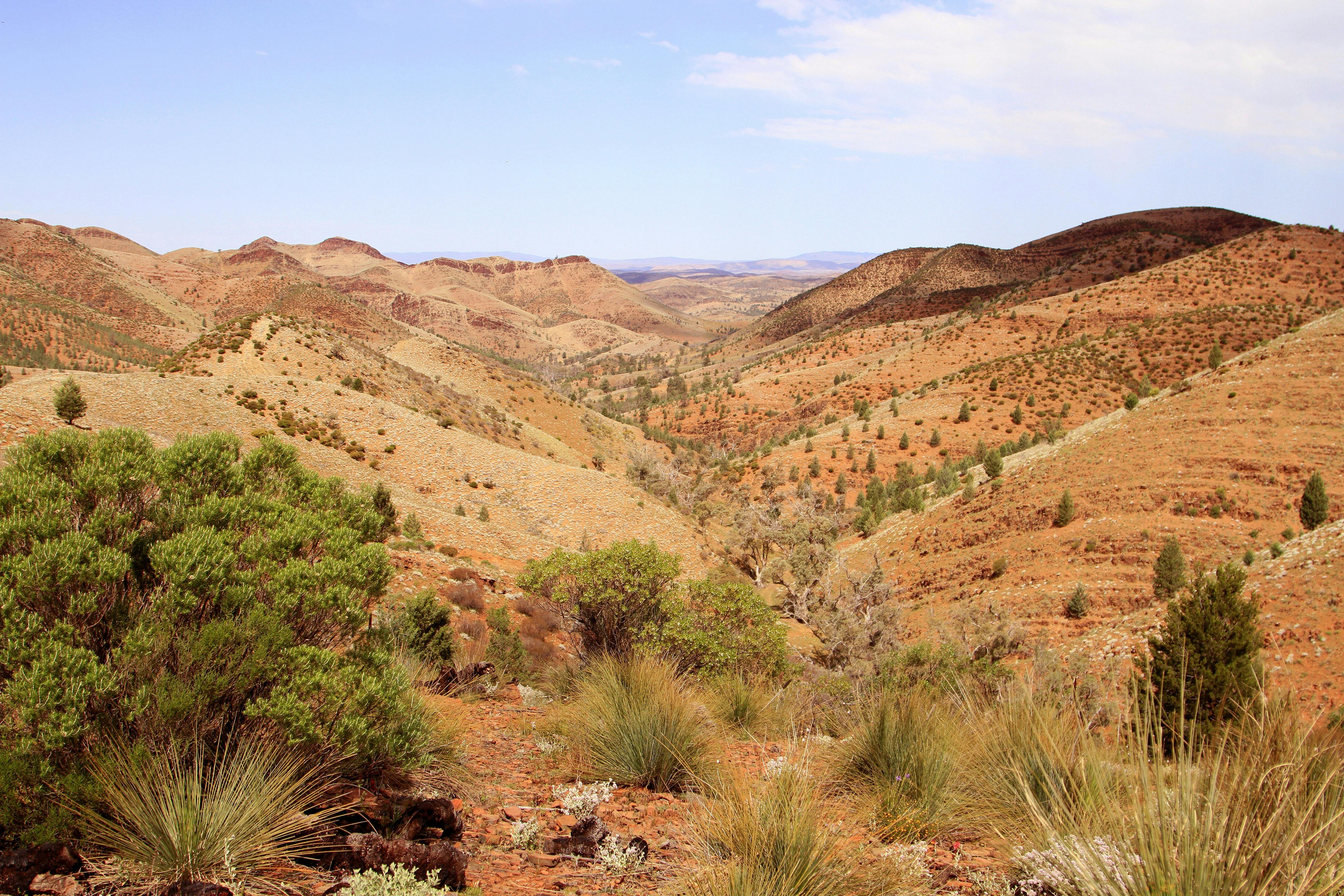 Yacca Lookout Trail
