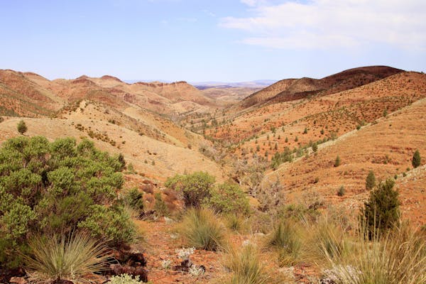 Yacca Lookout Trail