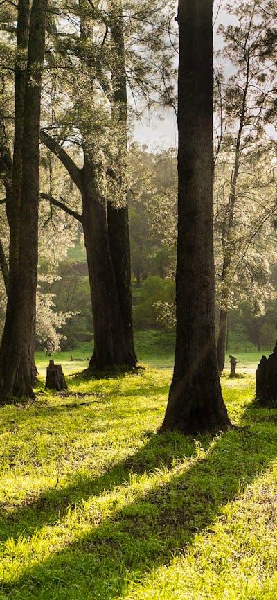 Araluen Creek Campground
