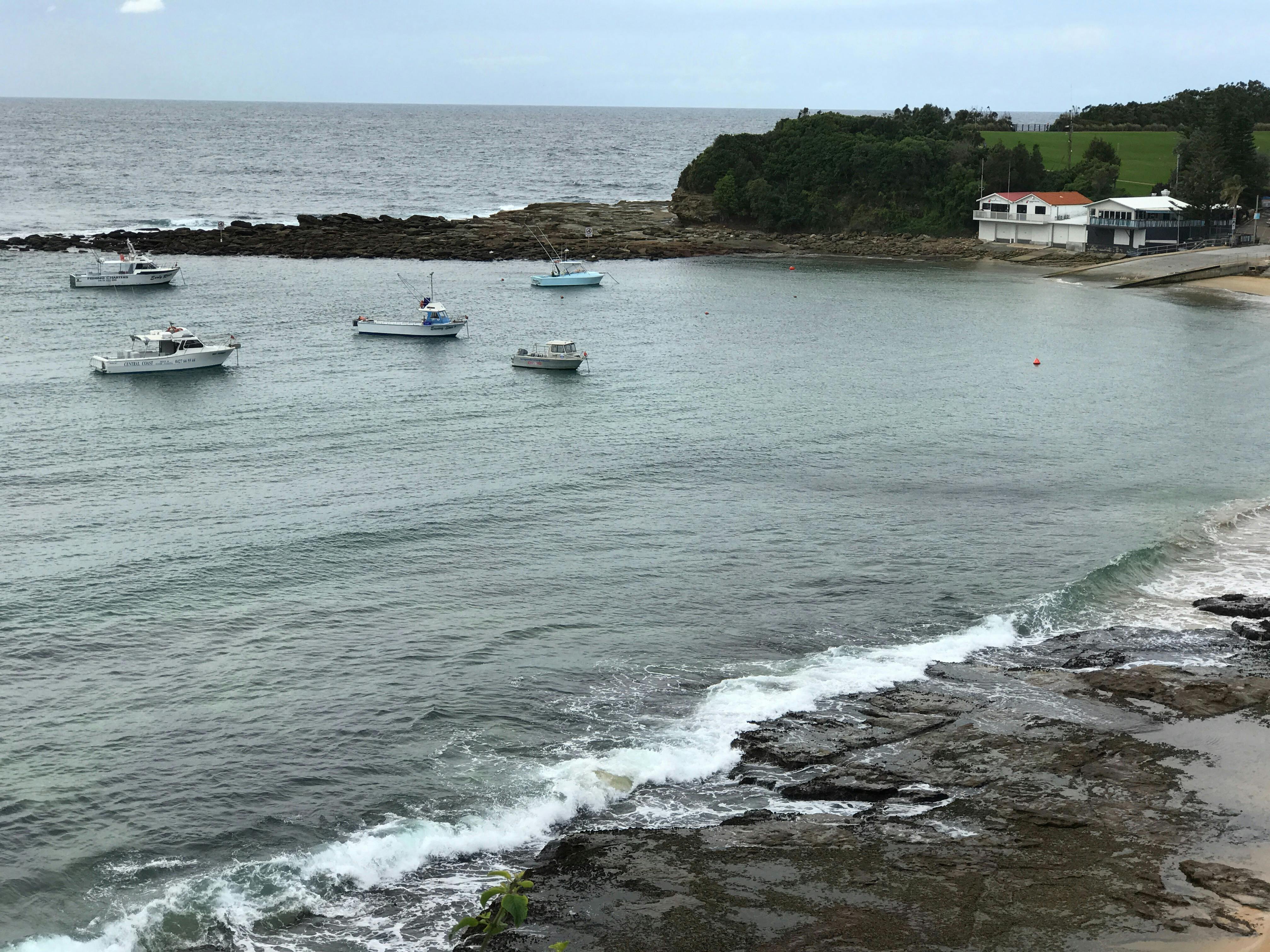 테리갈 헤이븐 보트 램프 프로다이브 센트럴 코스트