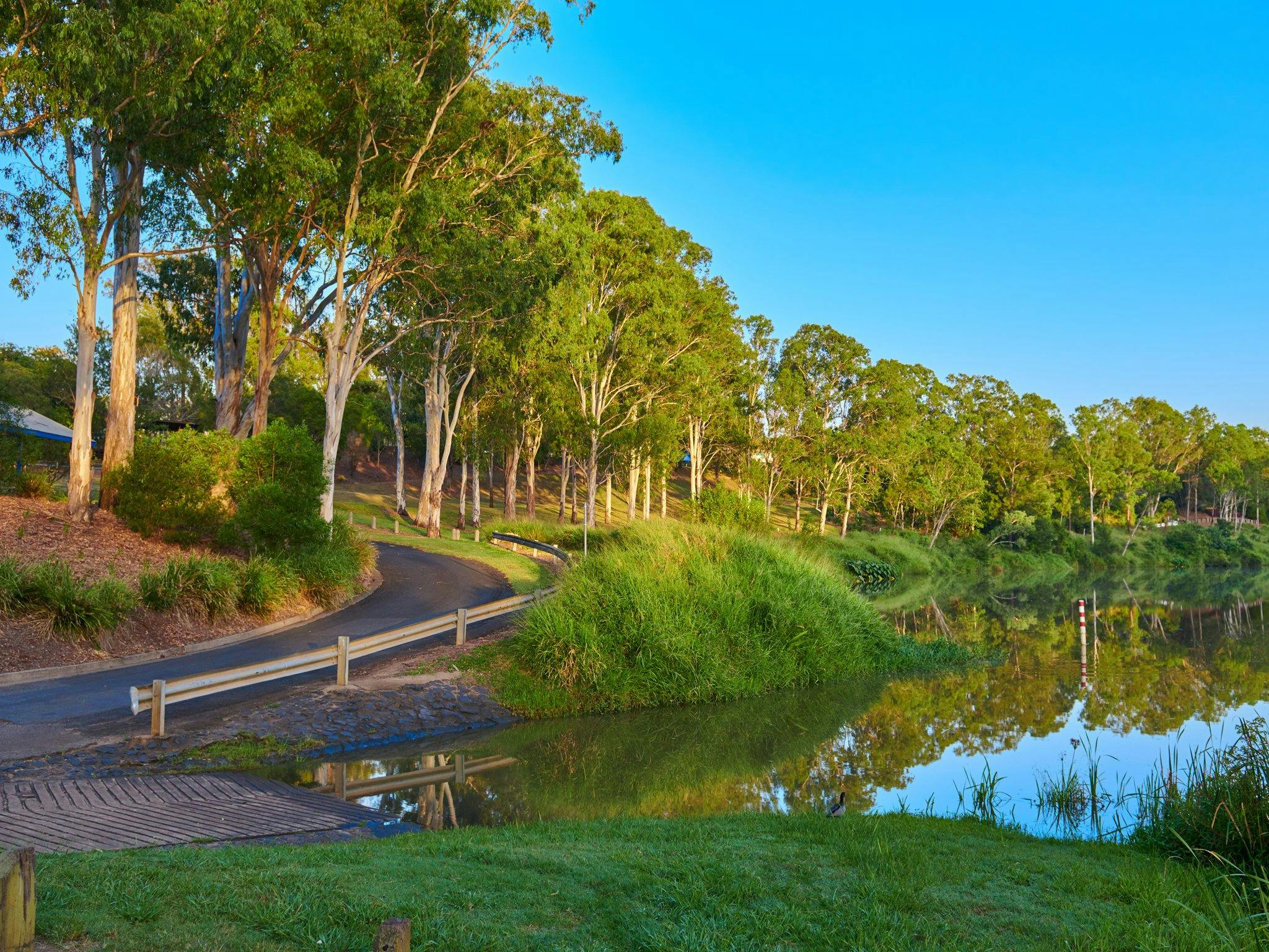 Cribb Park