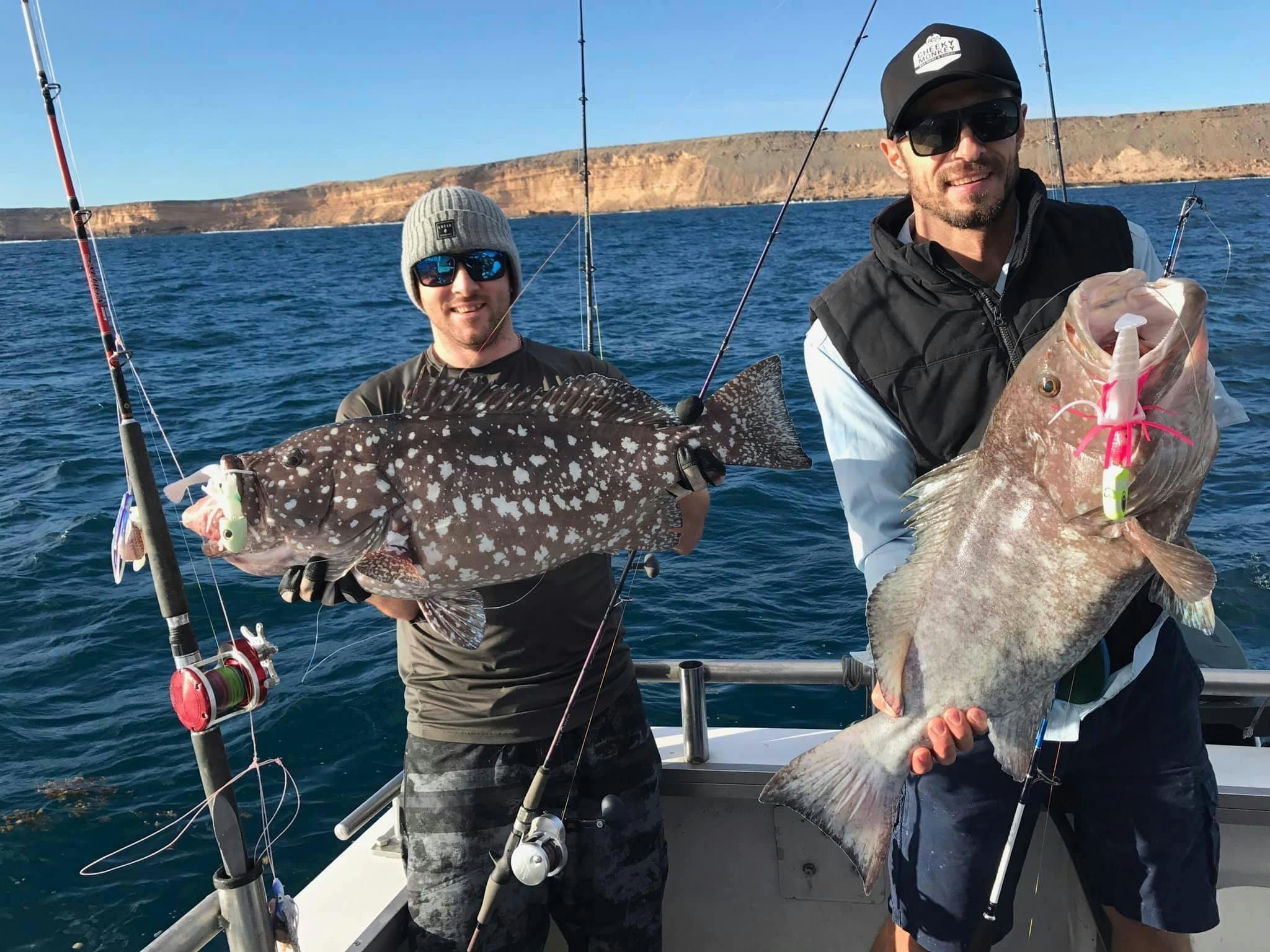 shark bay