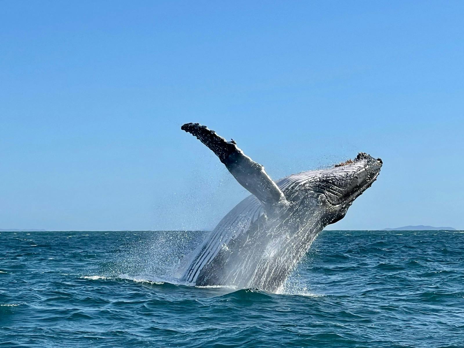 Exclusive use of vessel/other than fishing