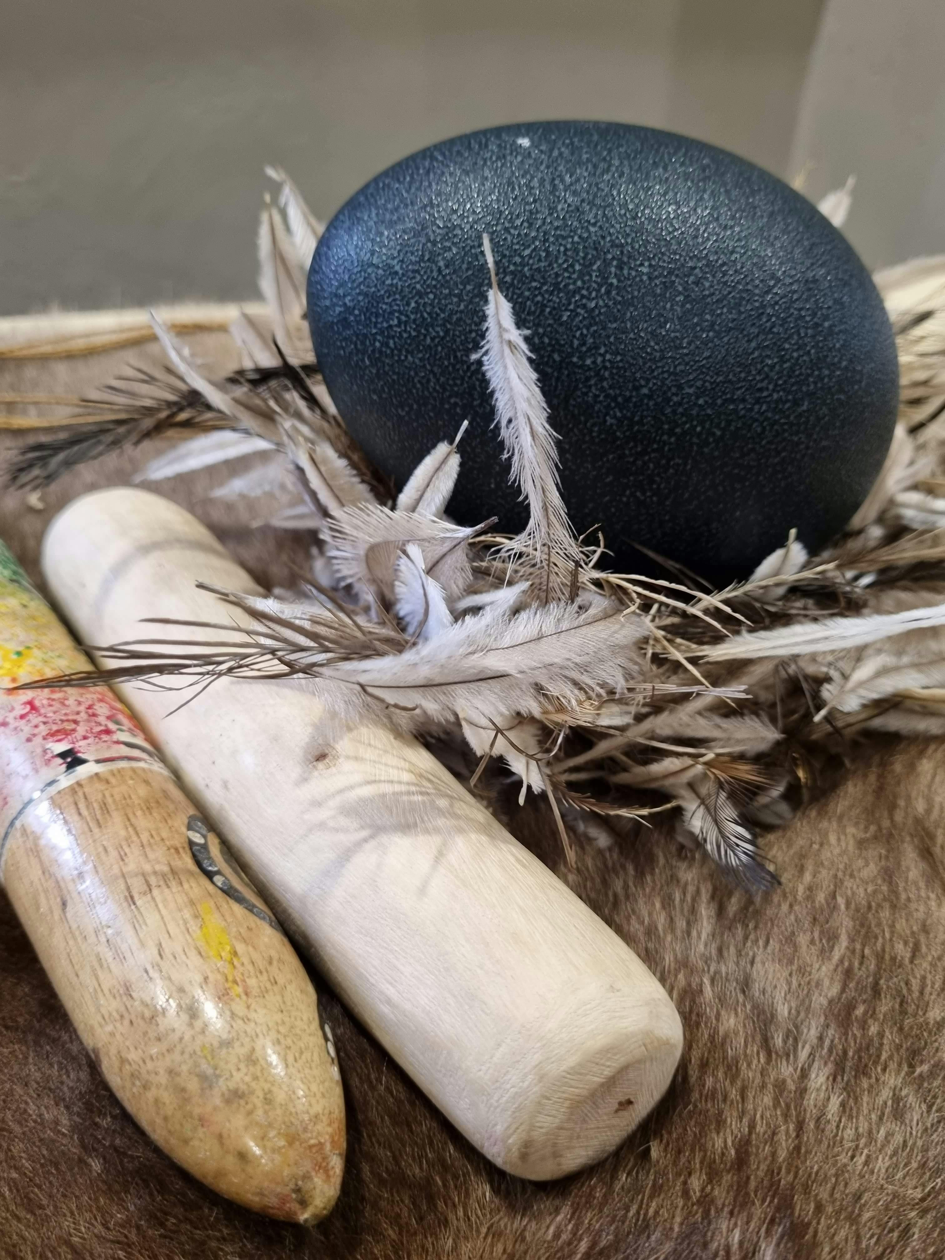 Klappstäbe, Emufedern und ein dunkelblaues Emu-Ei, Ausstellung.