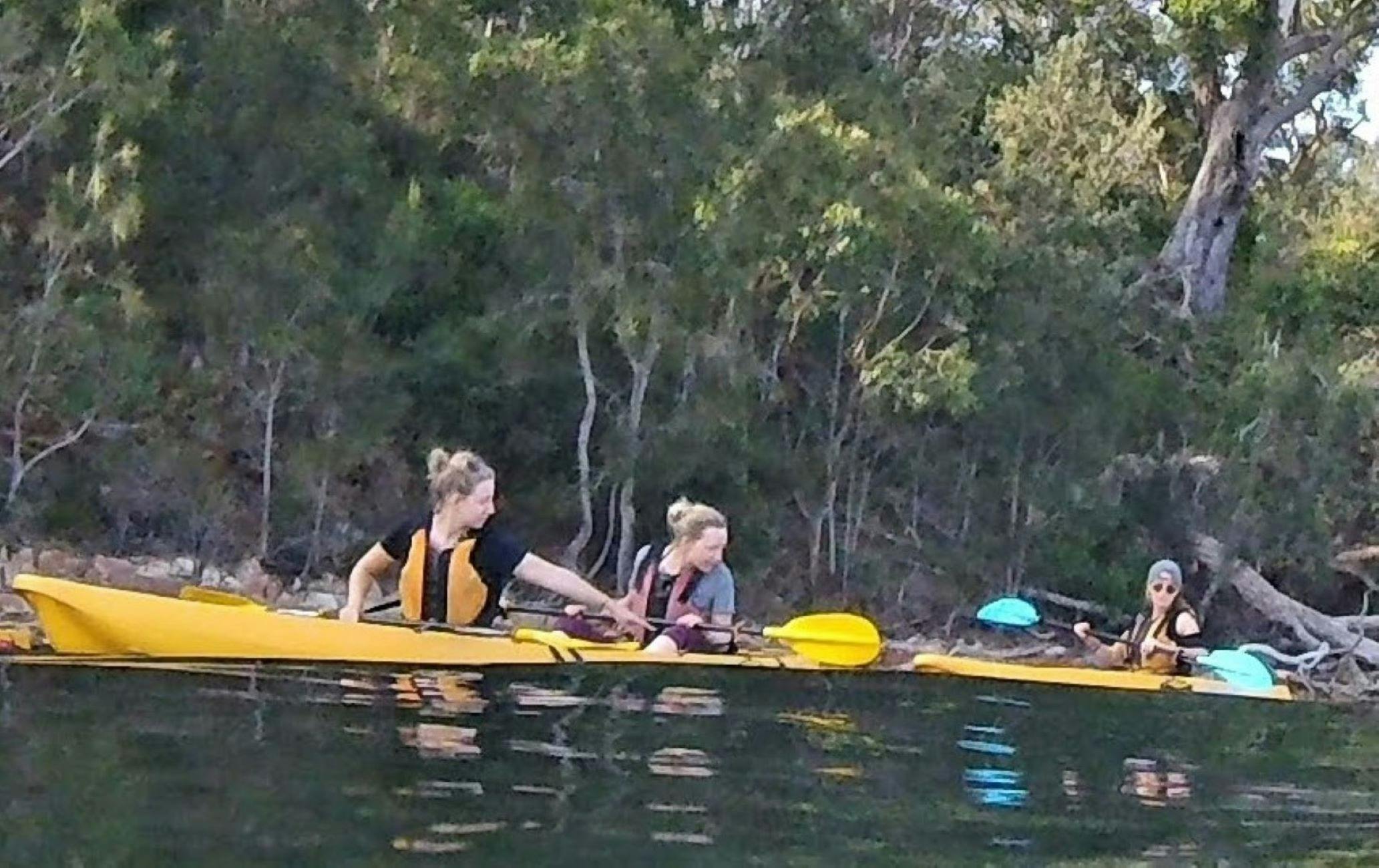 Kayak Tours