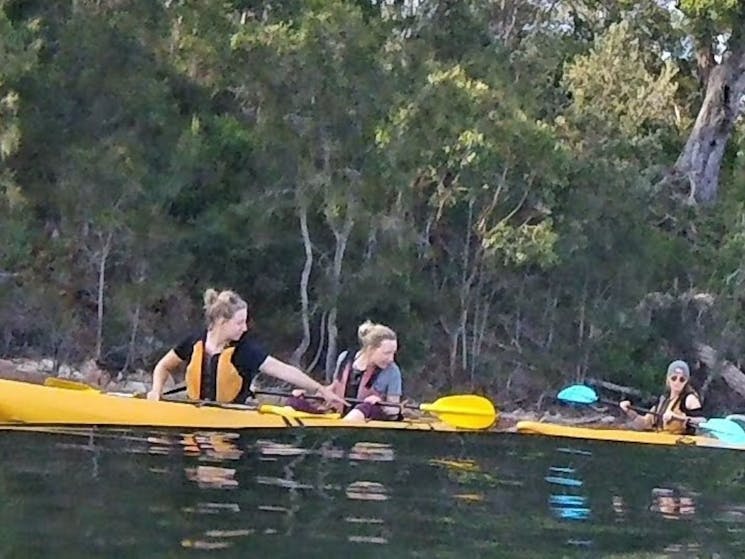 Kayak Tours