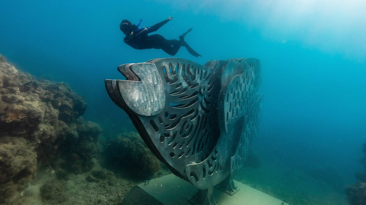 Diver swimming next to the big Maori Wrasse underwater sculpture