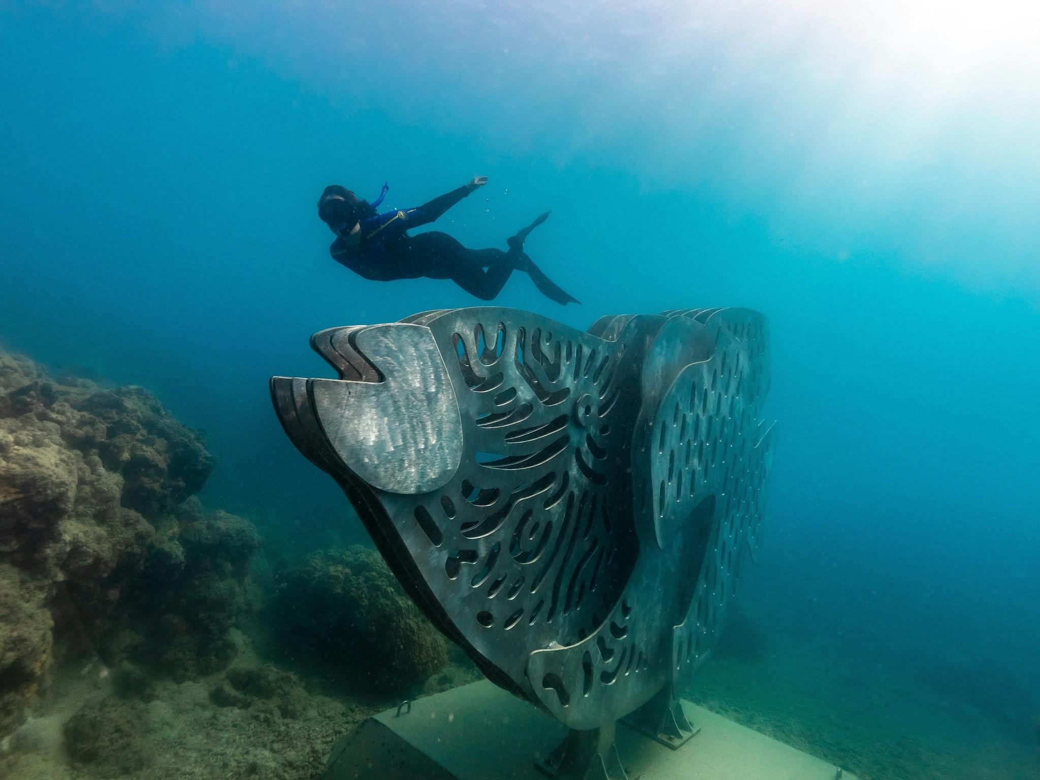 Diver swimming next to the big Maori Wrasse underwater sculpture Diver swimming next to the big Maori Wrasse underwater sculpture