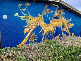 The leafy sea dragon is an elusive character found beside the Tumby Bay jetty