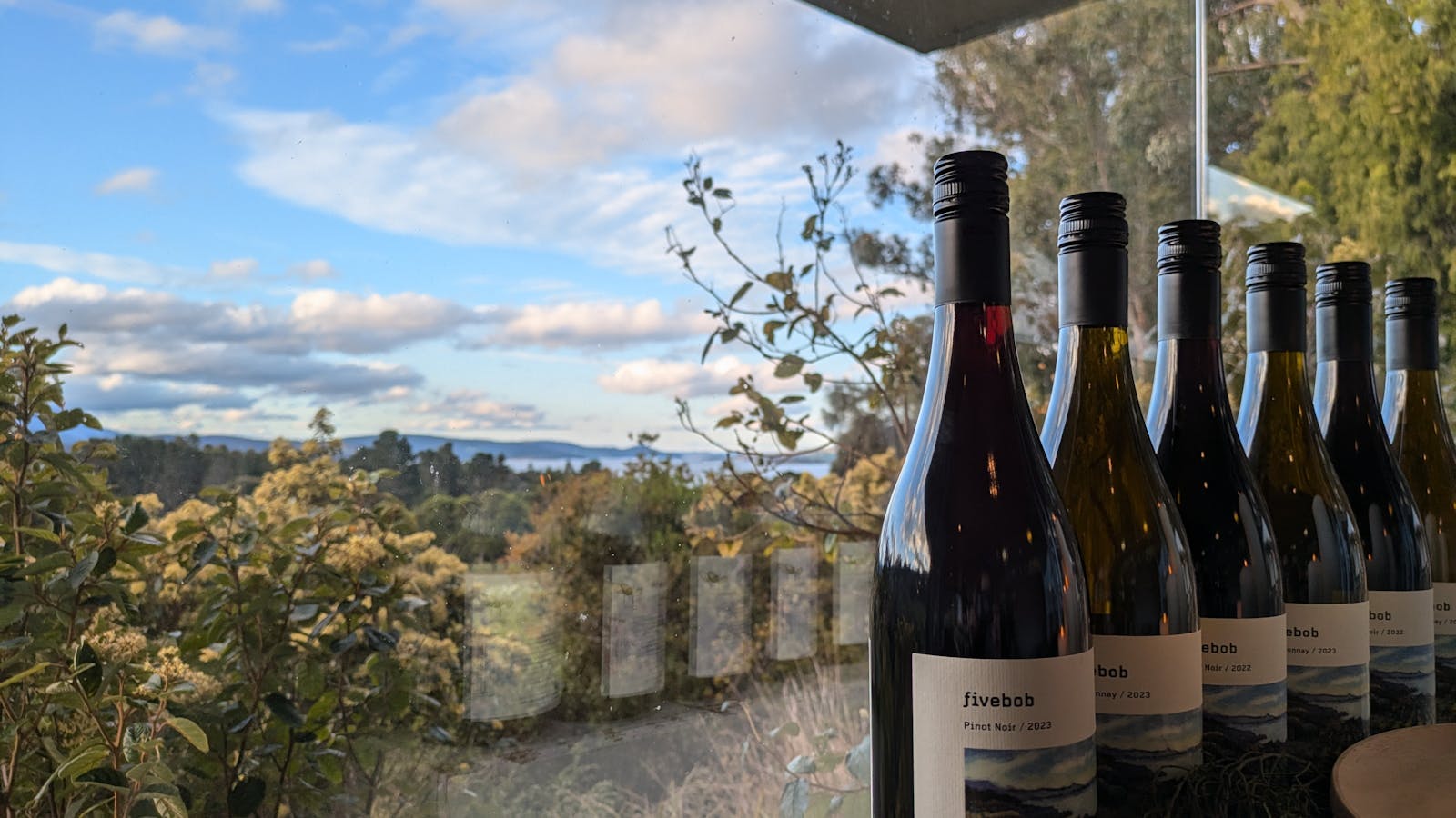 Five Bob Wines, in the Venue