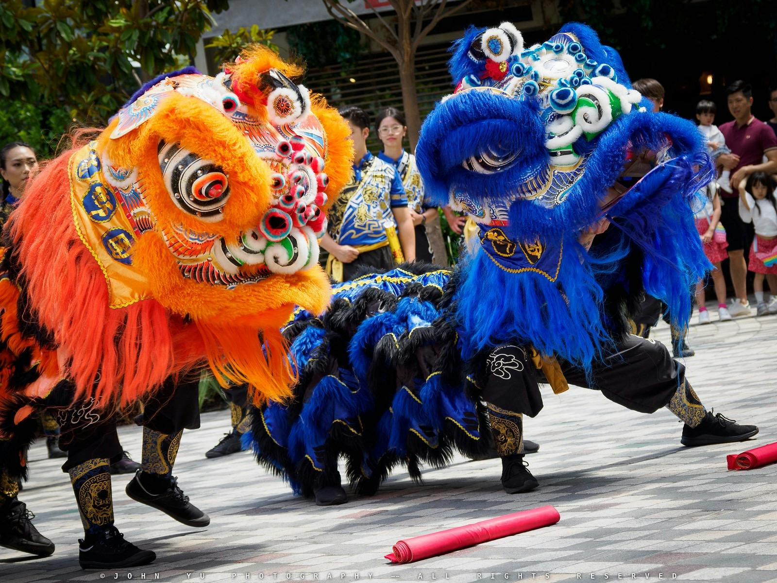 lion dances
