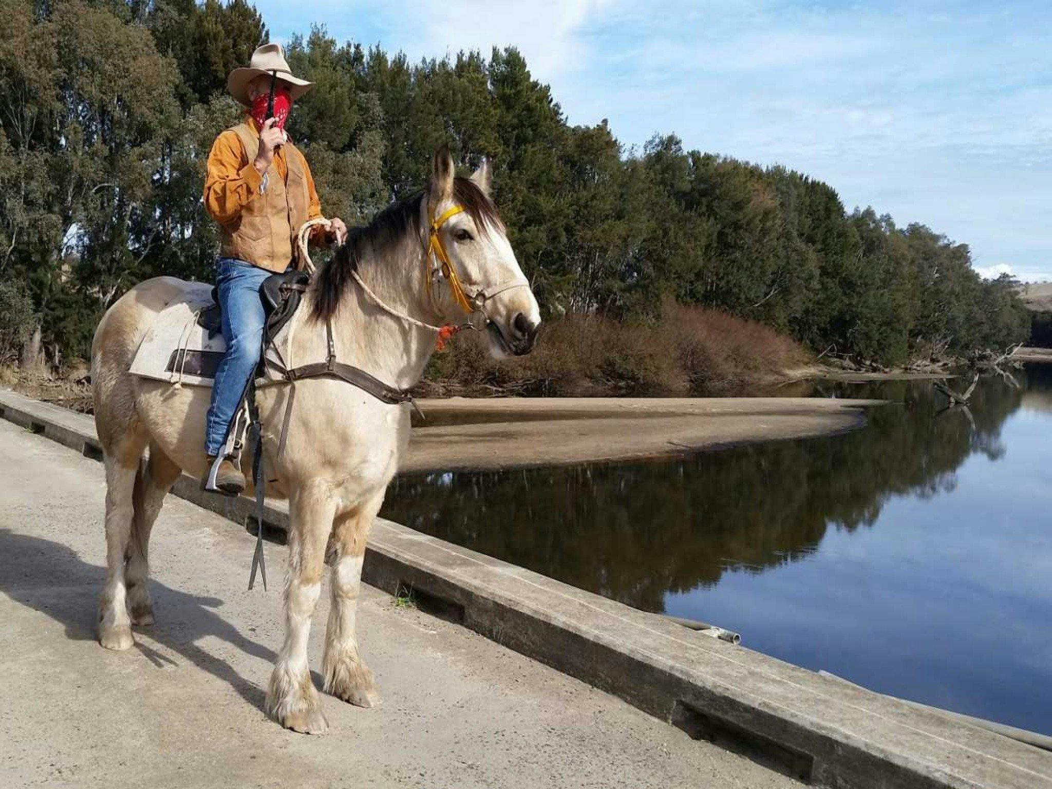 Jugiong Country Experience