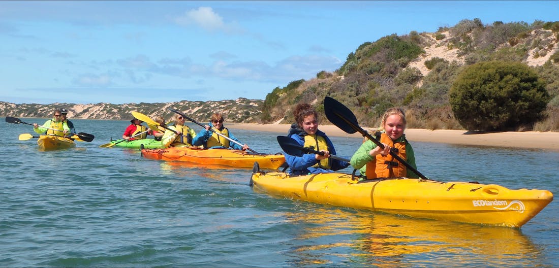 Self guided kayak hire, Tour Service South Australia