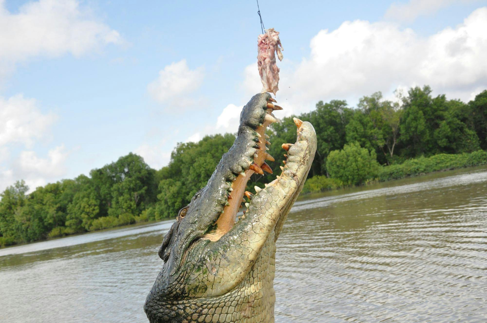 Litchfield Tour with Jumping Crocodiles and Sunset