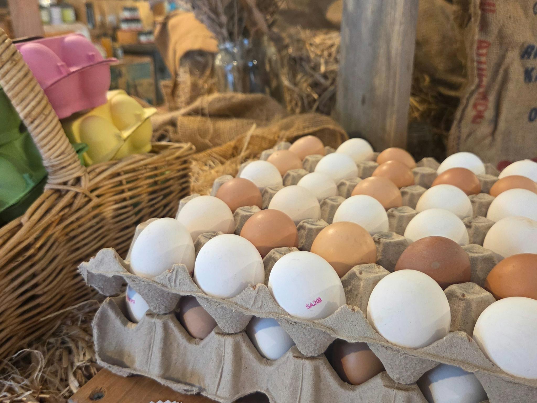 Fresh Farm Eggs in a tray