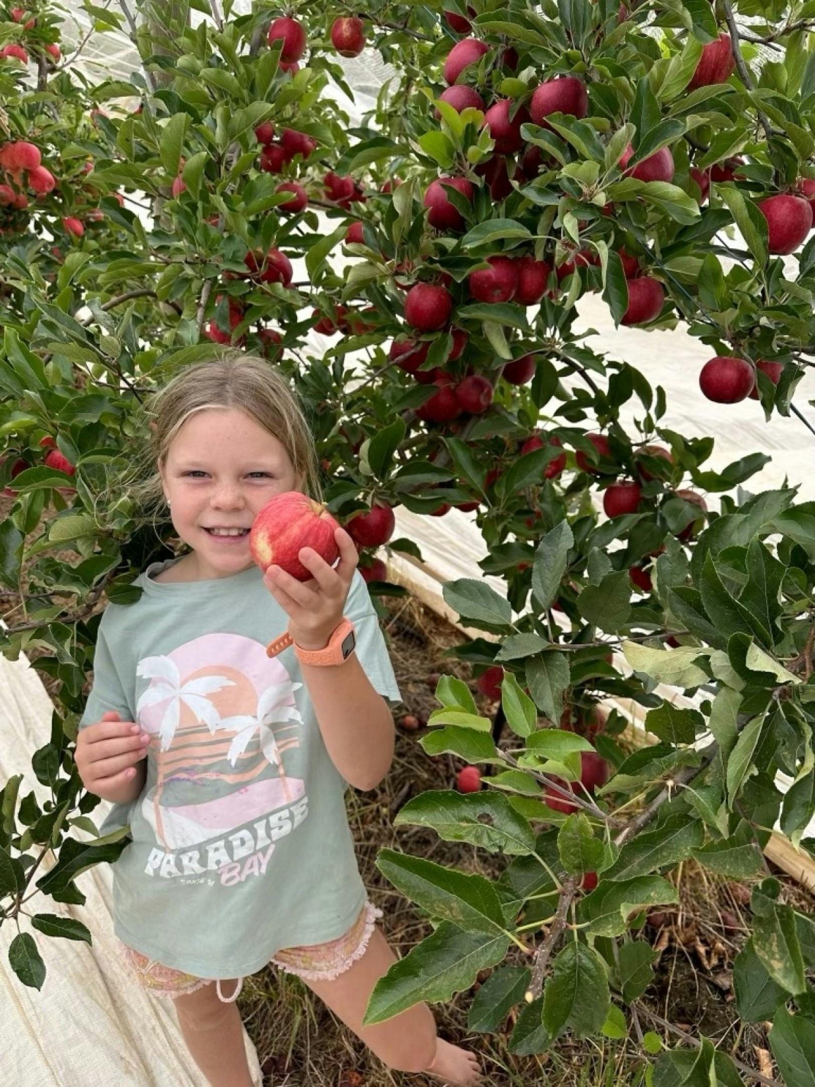 A child holding up a red apple for inspection