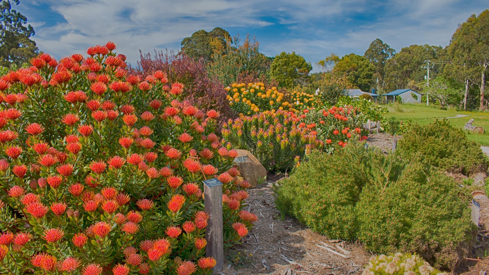 Inala Jurassic Garden