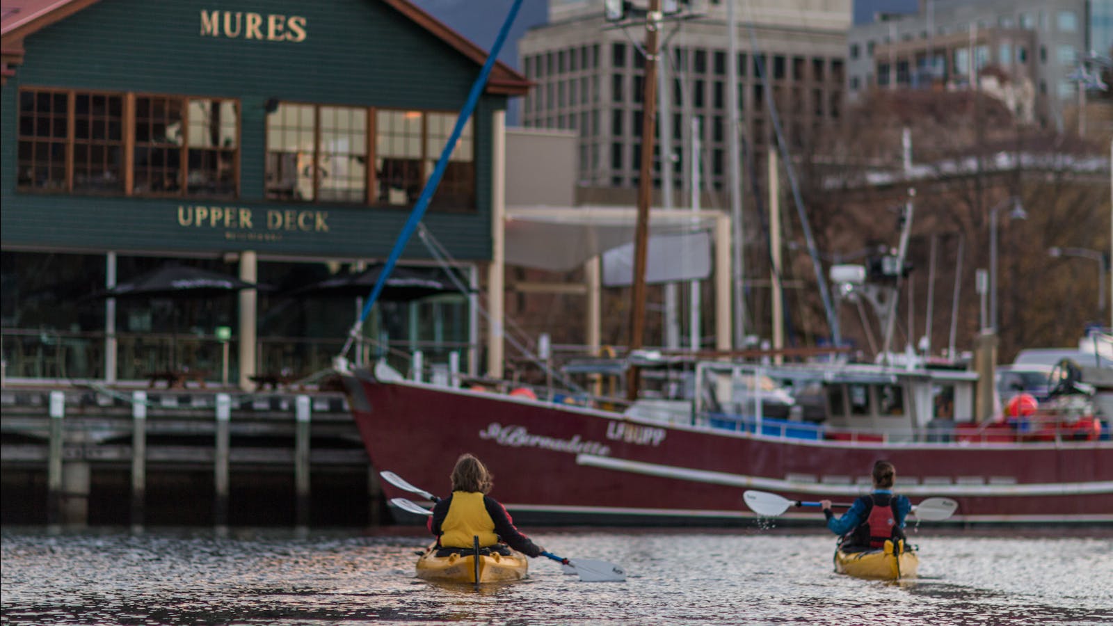 Kayakers paddling towards sailing ships on the Hobart waterfront