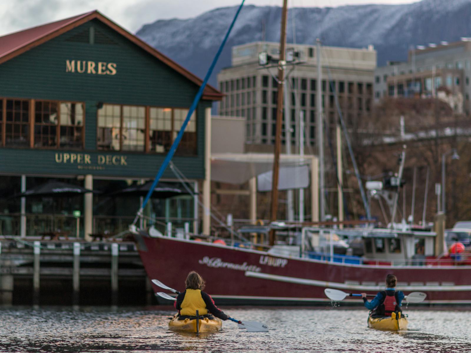 Kayakers paddling towards sailing ships on the Hobart waterfront
